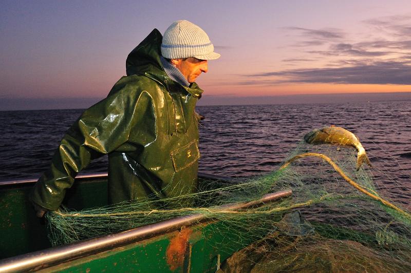 Fileyeur St Jean de Luz a8.JPG